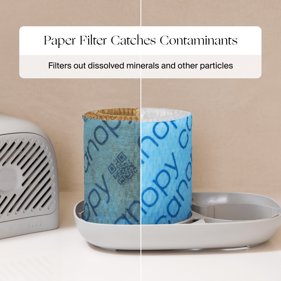 A split image of a humidifier filter shows it pristine on the left and capturing contaminants on the right. The caption reads, "Paper Filter Catches Contaminants - Filters out dissolved minerals and particles." Fulfilled by Canopy for top quality. Product: Bedside Humidifier 2.0 by Canopy.