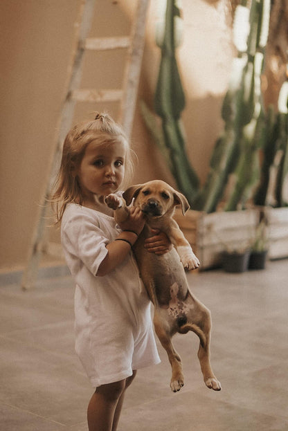 A toddler in an ethically handmade white dress holds a small brown and white puppy upright. The background features a potted cactus plant and a wooden ladder. The room has a warm, earthy tone with soft lighting, perfectly complementing the nearby pre-order HIGH-NOON SUNSUIT made from undyed organic cotton by cabane childrenswear.