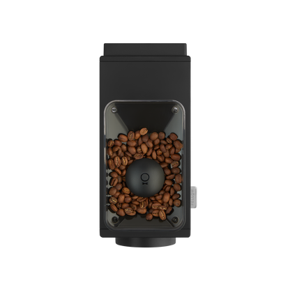 A top view of the Fellow Wholesale Ode Brew Grinder filled with coffee beans. The transparent hopper shows the beans clearly, and a small dial on the front indicates its 31 grind settings. The Gen 2 Brew Burrs and anti-static technology enhance its simple yet modern design.