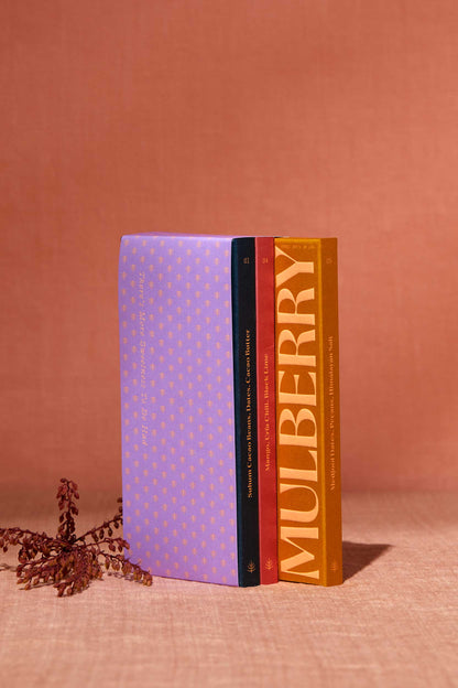 Three books from the Spring & Mulberry's Spice Market Collection stand upright against a soft peach-colored background. The leftmost book features a light purple cover adorned with gold patterns, while the middle book boasts a dark red design with gold text. The rightmost book is orange with bold white text reading "MULBERRY." Decorative foliage lies in front, adding a naturally sweet touch.