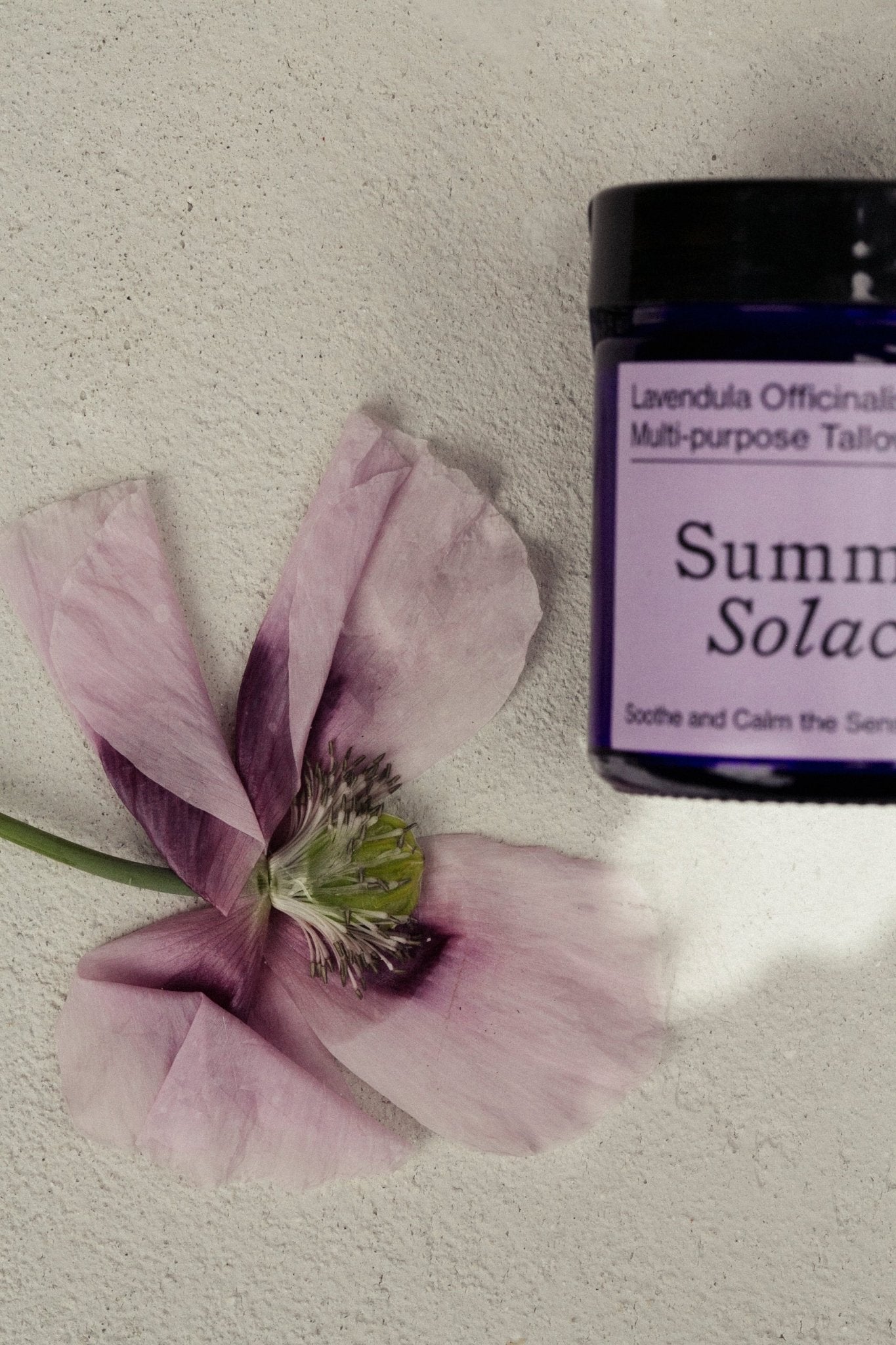 A jar of Summer Solace Tallow's Lavendula Officinalis Balm - Regenerative Tallow™ is placed next to a delicate pink flower on a light-colored surface. The product label shows text indicating it soothes and calms the senses.