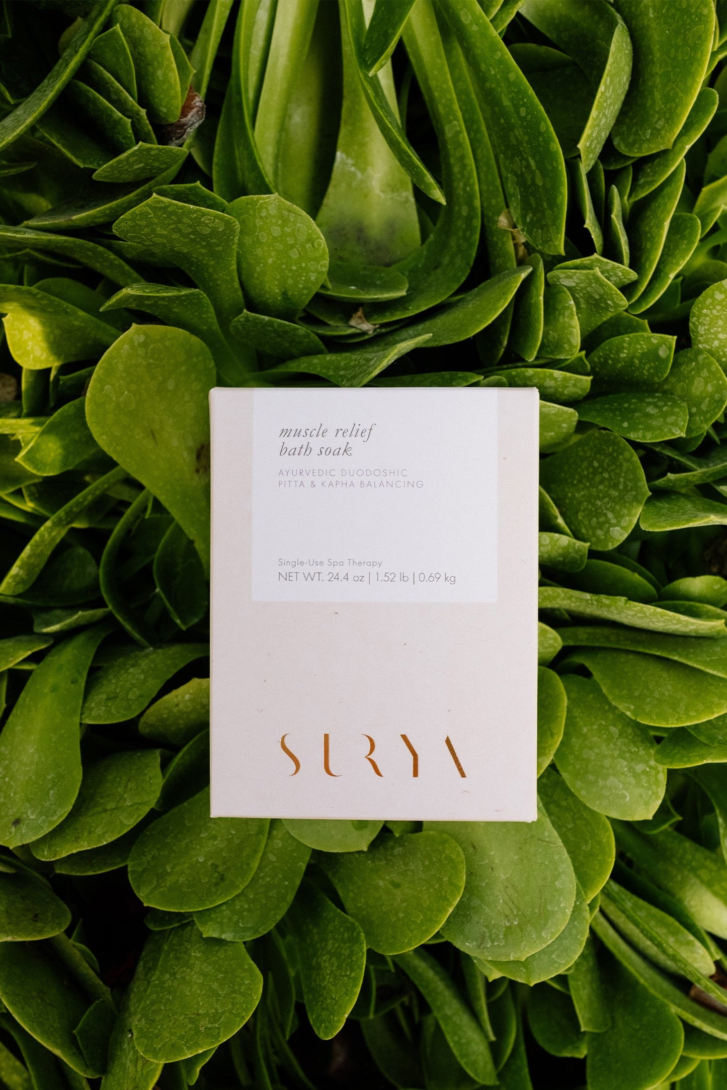 A package of Muscle Relief Bath Soak is placed on a bed of green leaves. The package is white with gold lettering that says "Surya." Perfect for hydrotherapy, the product weighs 34.4 ounces, or 1.32 pounds (0.969 kg).