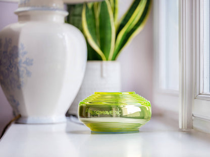 A small, round, green and yellow striped decorative object with the text "Somavedic USA" engraved on it is placed on a white surface near a window. In the background, part of a white lamp and a plant with long green leaves in a white pot are visible. This object, named "Vedic," is known for reducing oxidative stress.