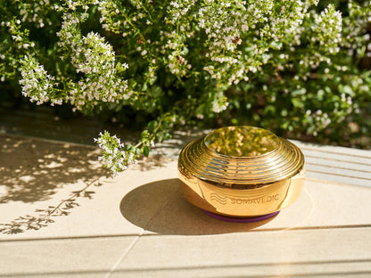 A small, cylindrical, gold-colored device embossed with "SOMAVEDIC" rests on a stone surface. It is placed outdoors under the sunlight, amidst lush green foliage adorned with small white flowers. This elegant device is the Somavedic Gold by Somavedic USA, designed to integrate quantum physics technology for EMF radiation protection.